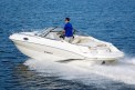 215cr_running-1-500x332