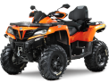 x8-tsveta_oranzh-1